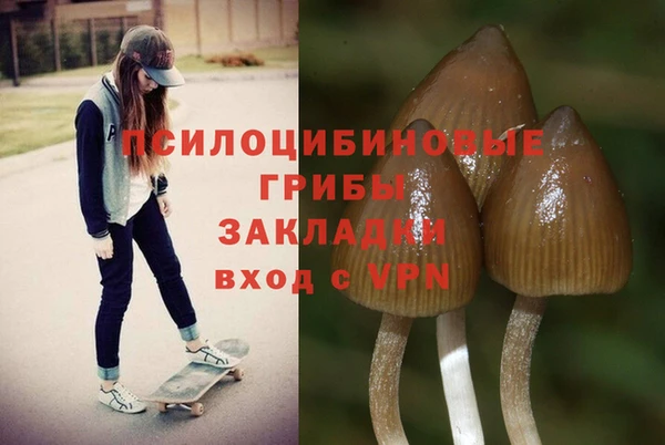 прущая мука Беломорск
