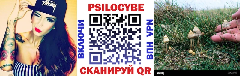 Псилоцибиновые грибы Psilocybine cubensis  Кола 